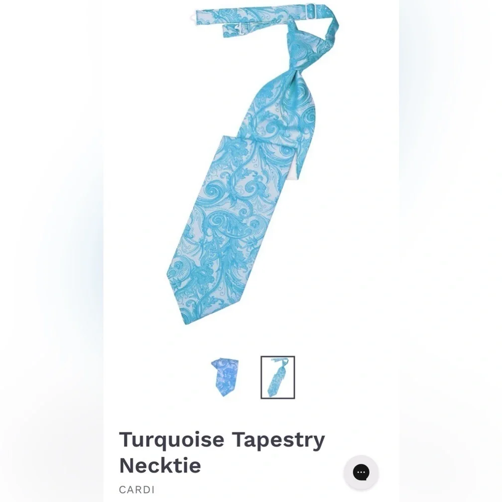 Turquoise Aqua Tie Wedding Prom Tuxedo Pre Tied clip tapestry paisley